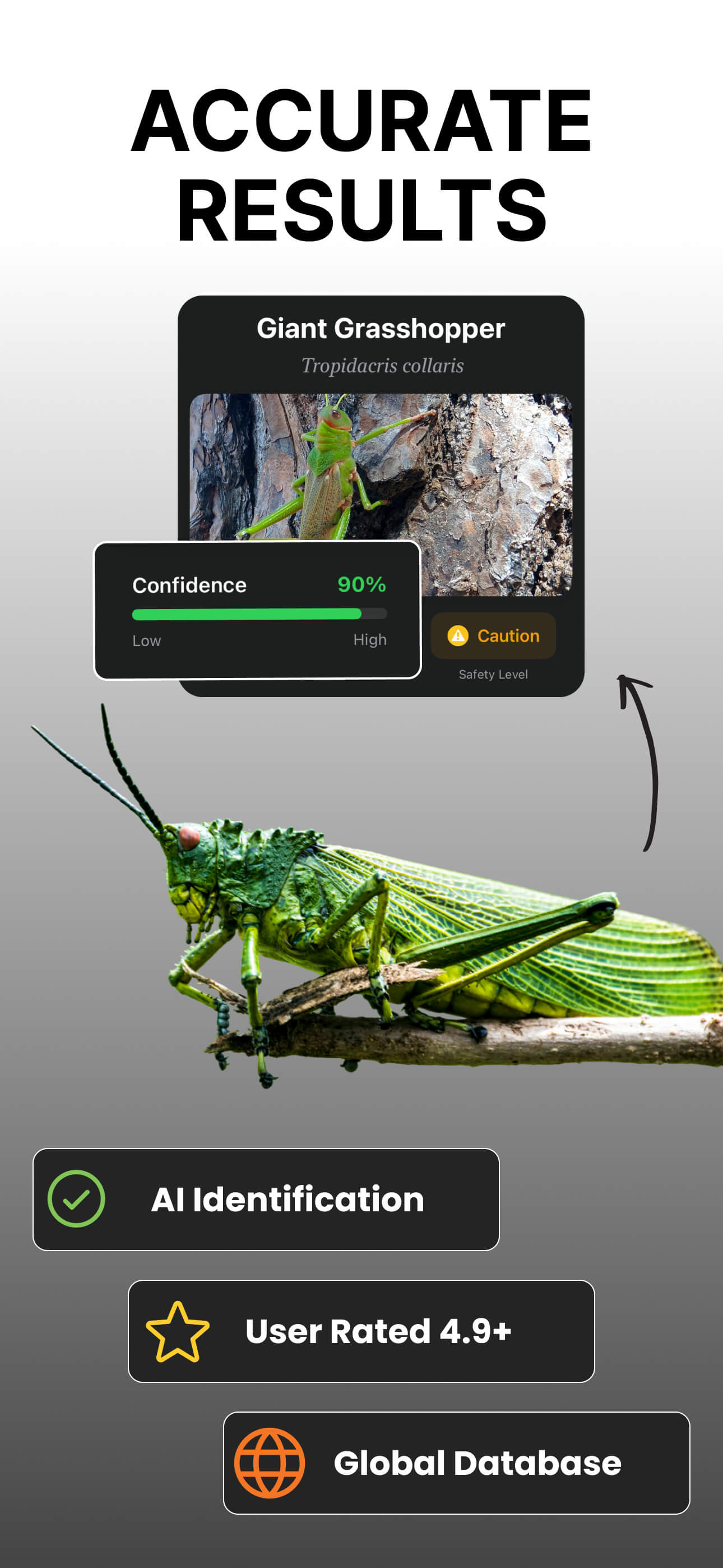 Bug Identifier app screenshots - screenshot 2