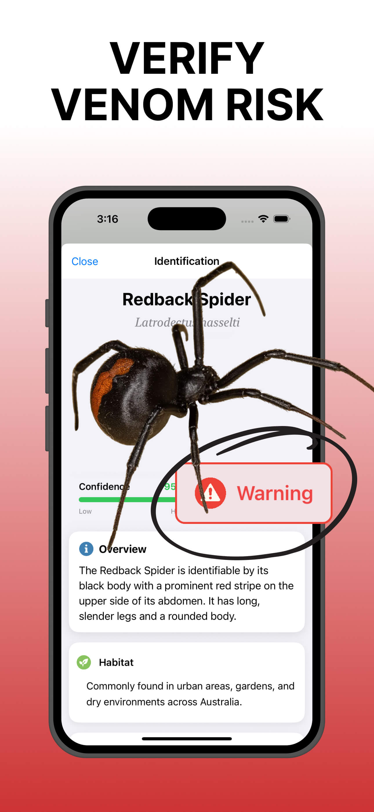Bug Identifier app screenshots - screenshot 3