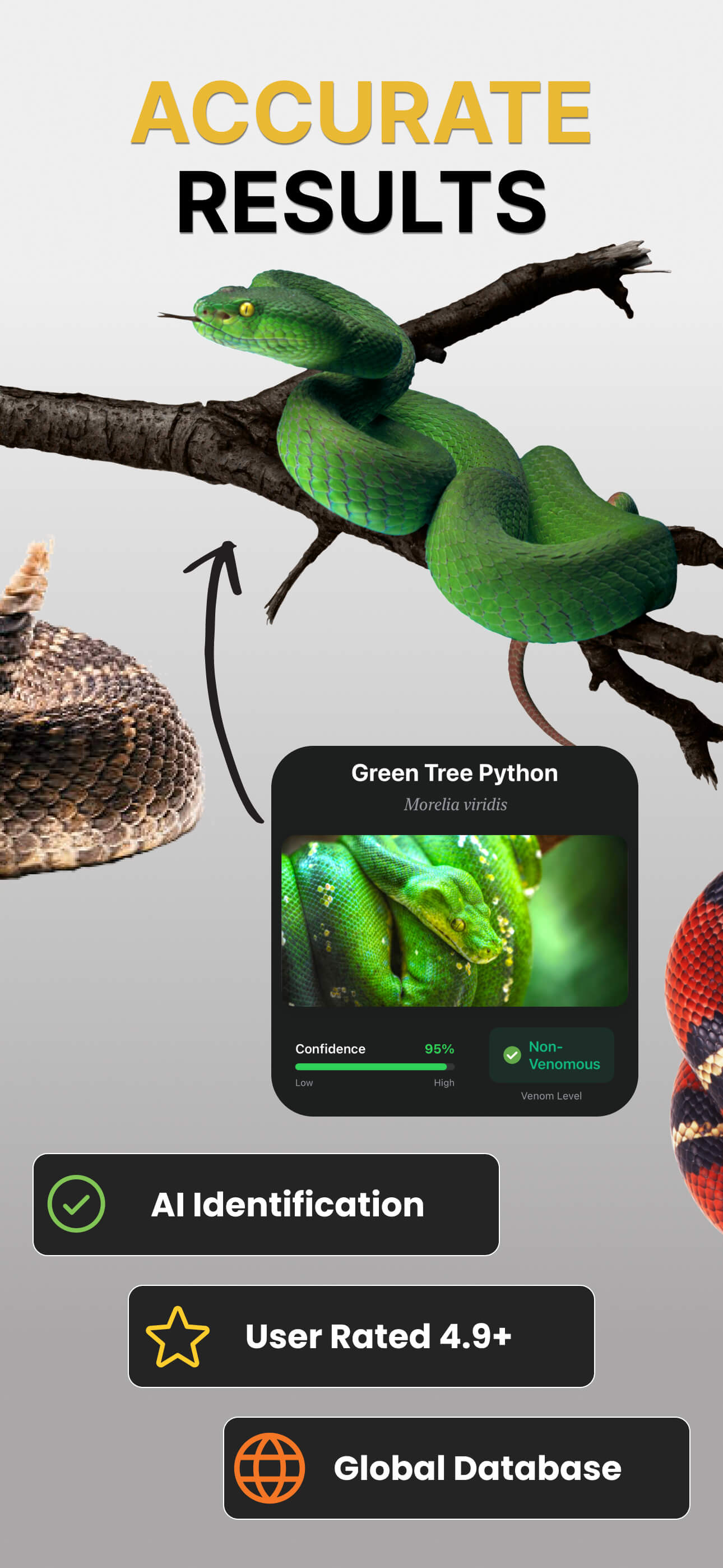 Snake Identifier app screenshots - screenshot 2