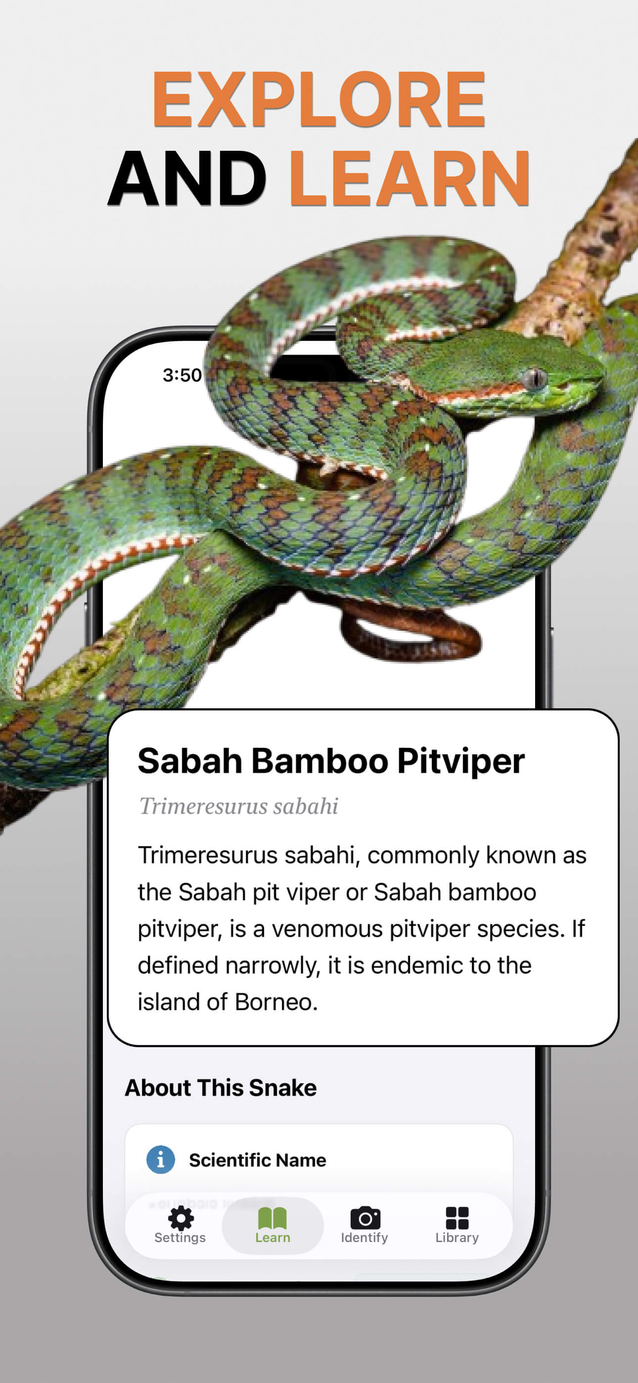 Snake Identifier app screenshots - screenshot 5